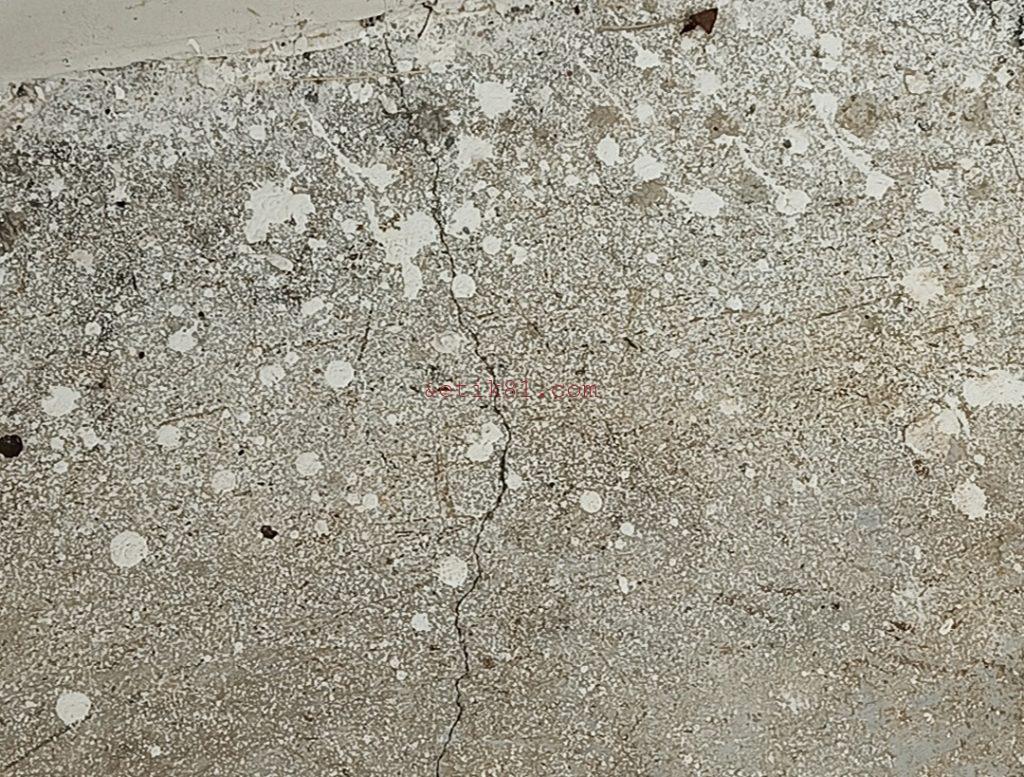 Screenshot_20230313-104538