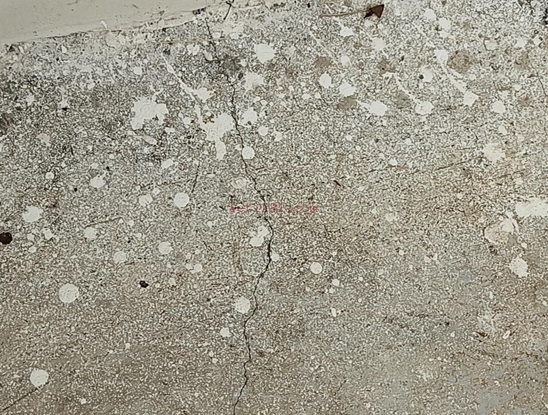 Screenshot_20230313-104538