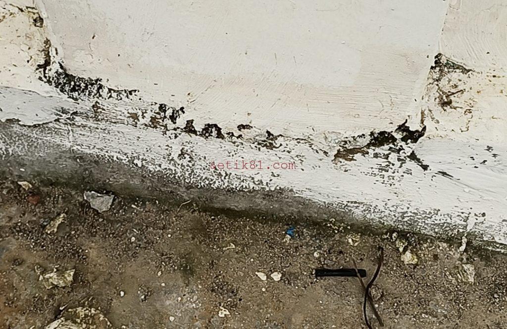 Screenshot_20230313-104810