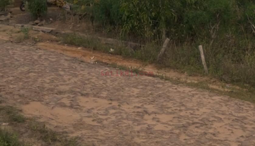 Screenshot_20230314-222043